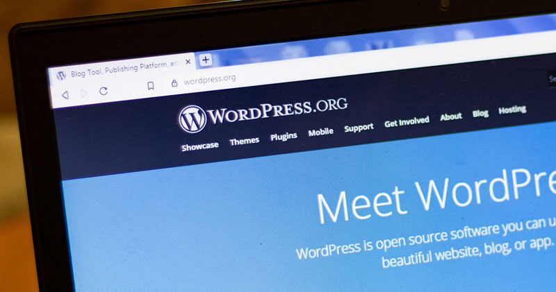 8 Things to Note When Choosing a WordPress Theme.