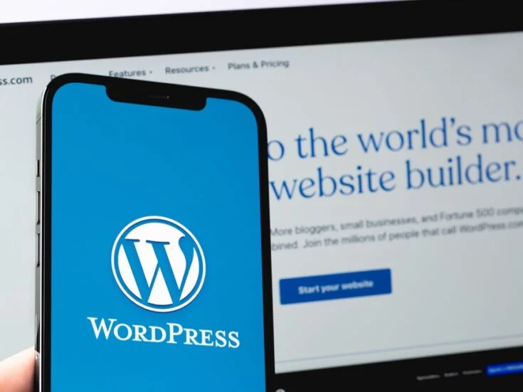 How to chose the right plugin for your WordPress site