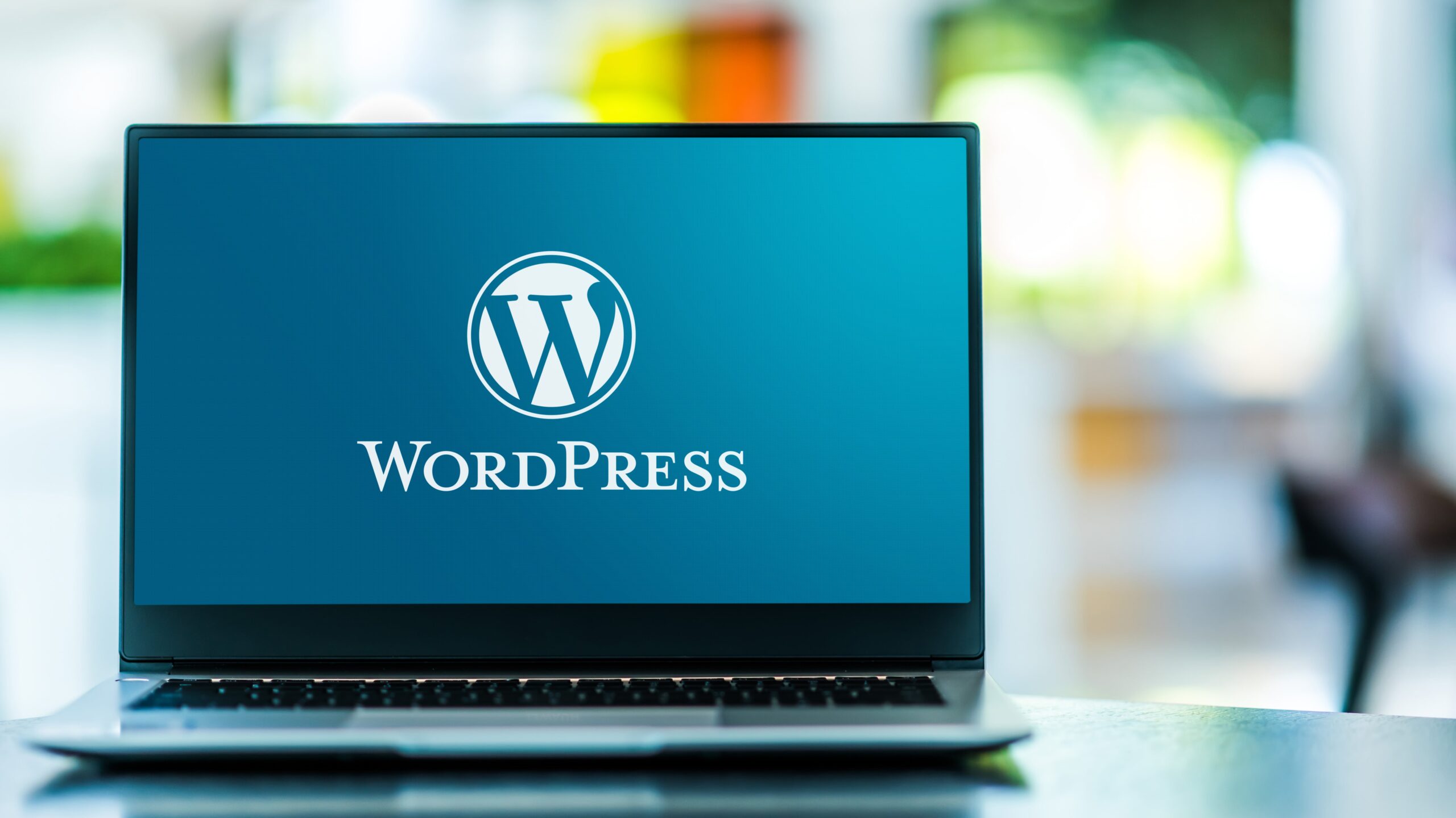 The Significance of WordPress Performance Optimization in 2023
